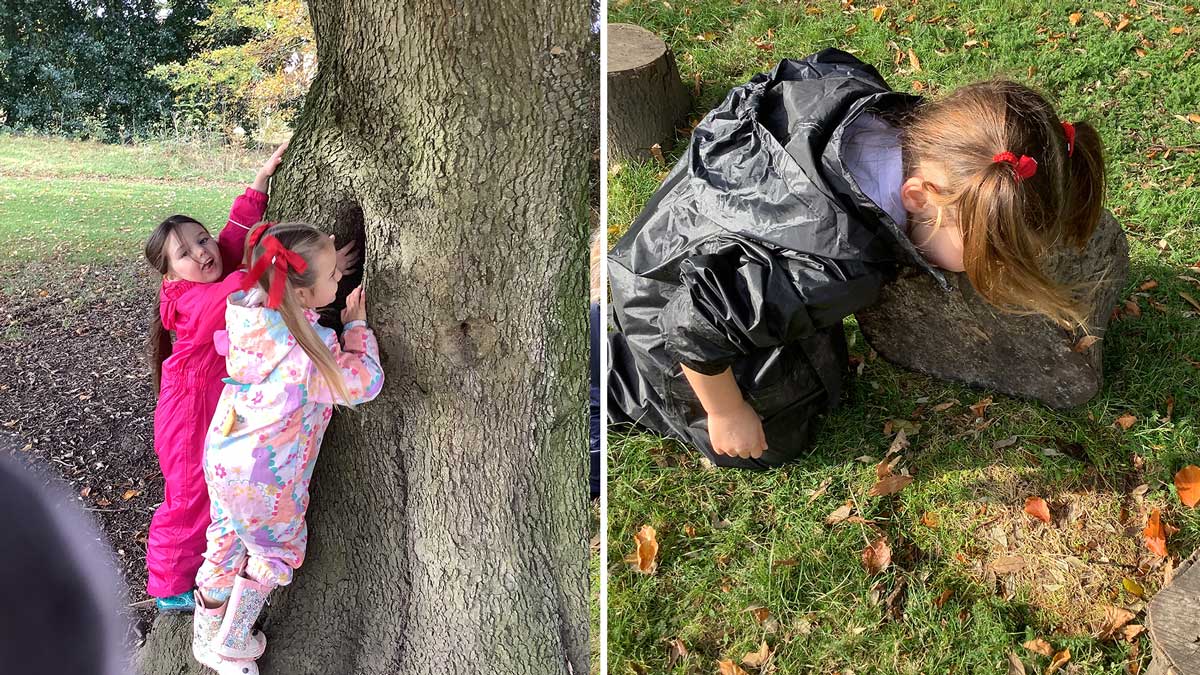 Fun in the Forest