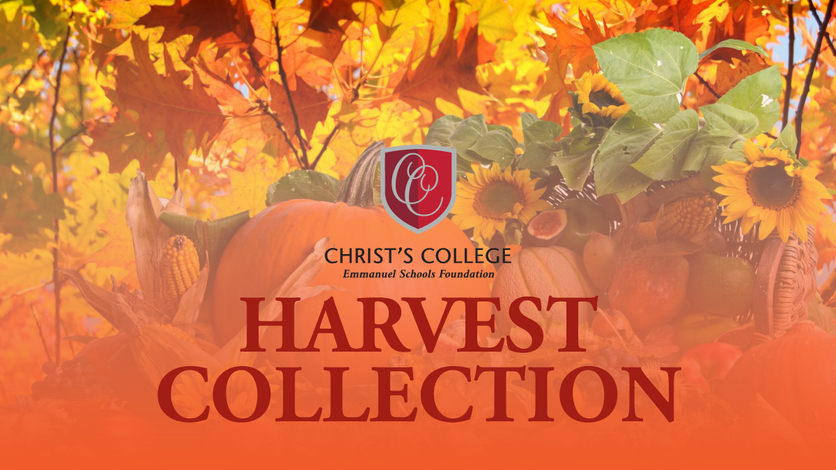 Harvest Collection Thank You